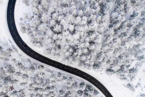 snowy road with trees