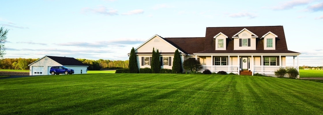 House in the country